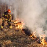 Wypalali trawy – poniosą srogie konsekwencje