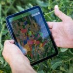 xFarm Technologies stawia na rolnictwo zrównoważone