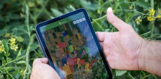 xFarm Technologies stawia na rolnictwo zrównoważone