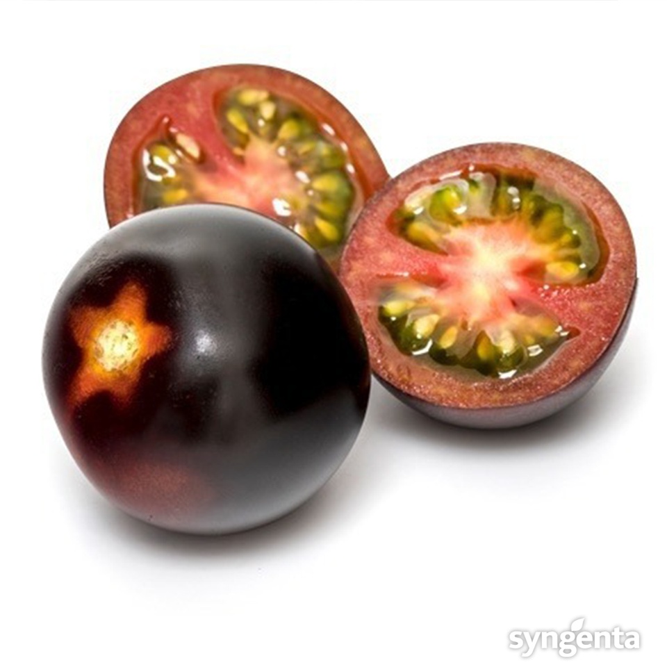 syngenta, pomidory, Yoom, Fruit Logistica