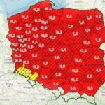 Najwyższy stopień zagrożenia pożarowego. Lasy Państwowe ostrzegają!
