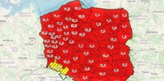 Najwyższy stopień zagrożenia pożarowego. Lasy Państwowe ostrzegają!