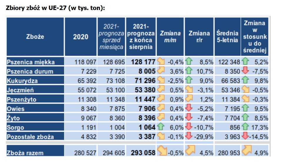 KE obniżyła prognozy zbiorów zbóż w UE, ale podniosła w Polsce 