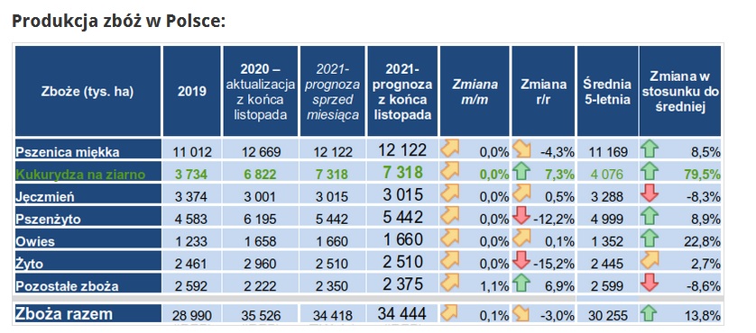KE szacuje nasze zbiory zbóż na drugie w historii 