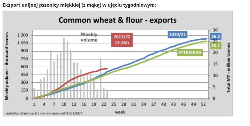 Tempo unijnego eksportu zbóż jest w tym sezonie o ponad proc. szybsze niż rok temu