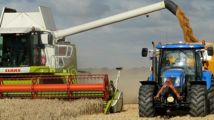 AgroNawigator PKO BP, PKO BP, zboże, ceny zbóż, pszenica, ceny pszenicy