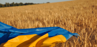 Przystąpienie Ukrainy do UE zagrożeniem czy szansą dla polskiego rolnictwa?