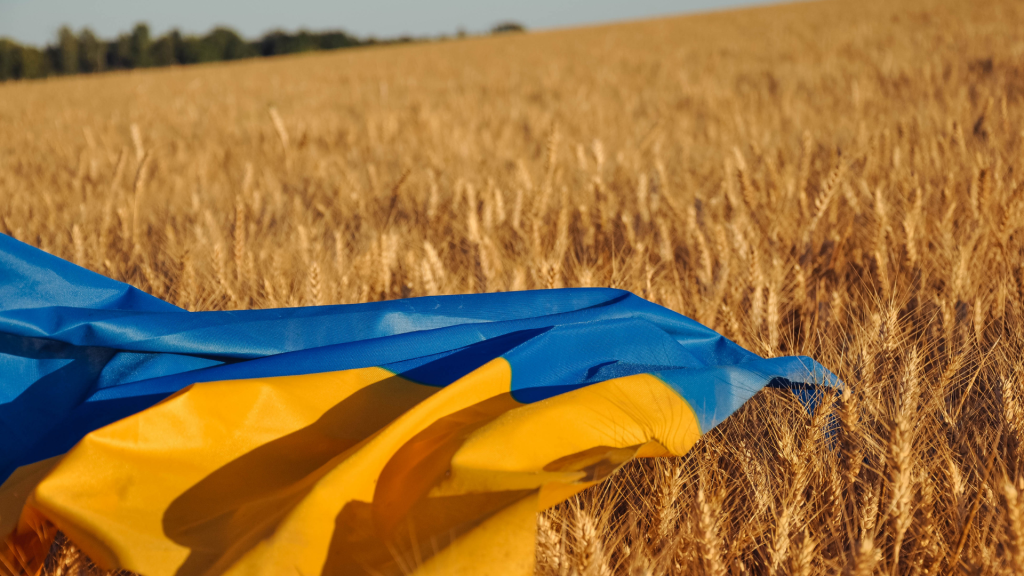 Ukraina bez drogi na skróty do UE. Europejscy przywódcy studzą zapał Kijowa