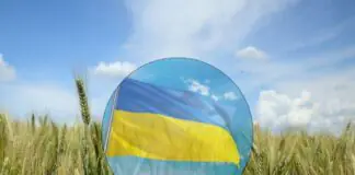 KE chce ukarania Polski za embargo na ukraińskie zboże. Warszawa nie ustępuje