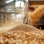 Agro pod presją: jak digitalizacja może pomóc?