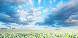 Jesienne uprawy z Generali Agro