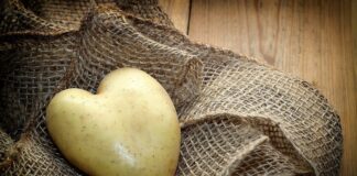 Popularny ziemniak – ile o nim wiemy