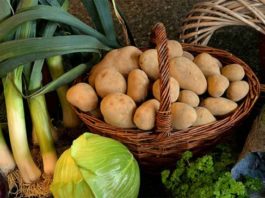 Ceny skupu produktów rolnych poszły w górę
