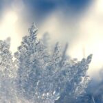 Nadciąga arktyczny armagedon! Mróz do -30°C sparaliżuje Polskę na długie dni