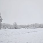Pogoda na najbliższe dni: zima wraca na całego. Śnieg, gołoledź i duże wahania temperatur