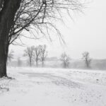 Amerykańscy meteorolodzy ostrzegają: zima potrwa aż do połowy marca