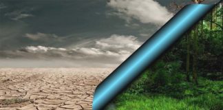 Ocieplenie klimatu: konieczne nowe uprawy i zmiany w polityce rolnej